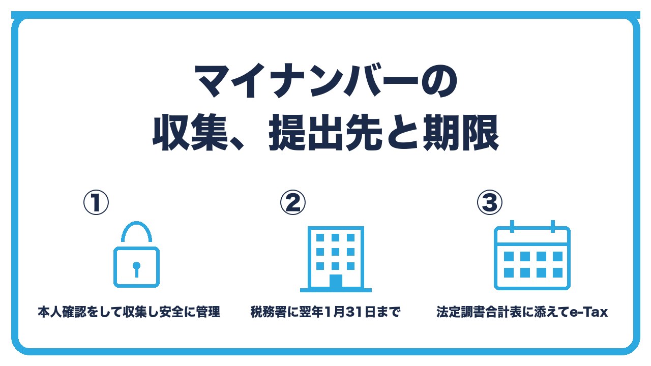 マイナンバーと提出を、相手に本人確認をして番号を収集し安全に管理・提出先は税務署で翌年1月31日まで・法定調書合計表に添えてe-Taxでの3つに分けて図解したインフォグラフィックです。